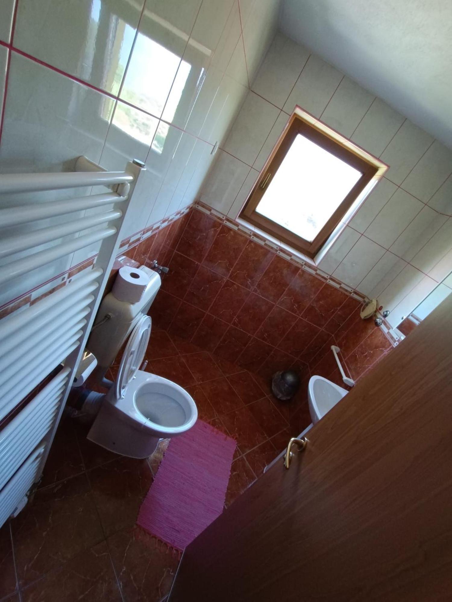 Apartments & Rooms Ramljak 科雷尼察 客房 照片